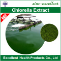 Chlorella orgânico de alta qualidade e pó de espirulina